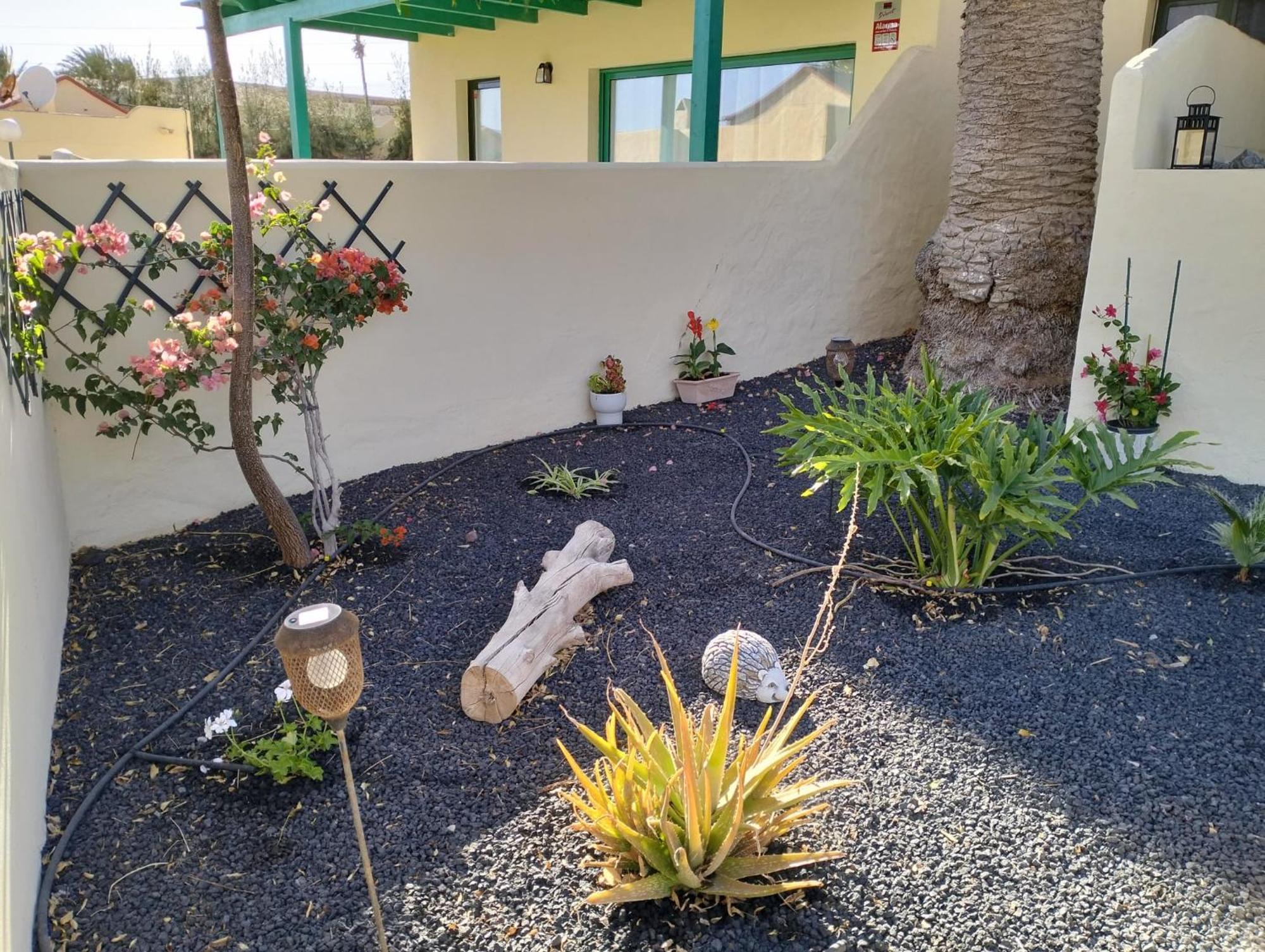 Montes Blancos Apartment Costa Calma Exterior photo